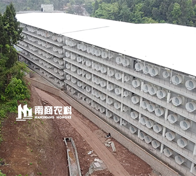下一篇