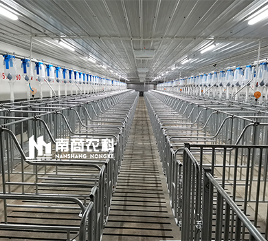 下一篇