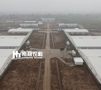 下一篇