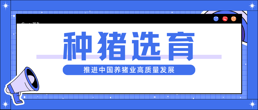 種豬選育：推進中國養豬業高質量發展
