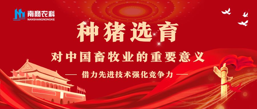 借力先進(jìn)技術(shù)強(qiáng)化競(jìng)爭(zhēng)力：種豬選育對(duì)中國(guó)畜牧業(yè)的重要意義 ?